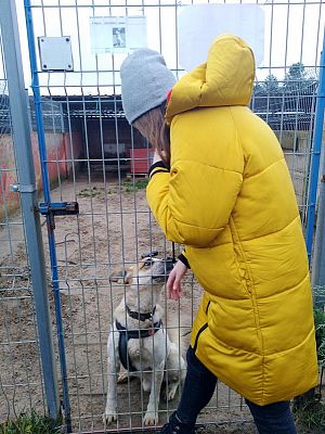  Grafika #16: Wizyta wolontariuszy w lęborskiej noclegowni i schronisku dla zwierząt.