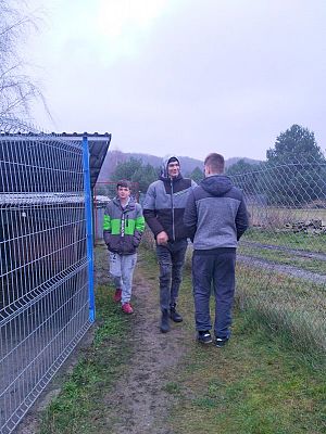  Grafika #19: Wizyta wolontariuszy w lęborskiej noclegowni i schronisku dla zwierząt.