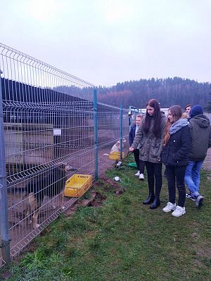  Grafika #15: Wizyta wolontariuszy w lęborskiej noclegowni i schronisku dla zwierząt.