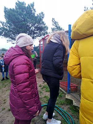  Grafika #18: Wizyta wolontariuszy w lęborskiej noclegowni i schronisku dla zwierząt.