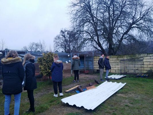  Grafika #10: Wizyta wolontariuszy w lęborskiej noclegowni i schronisku dla zwierząt.