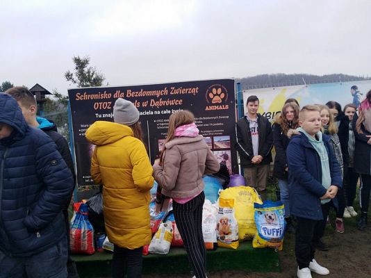  Grafika #4: Wizyta wolontariuszy w lęborskiej noclegowni i schronisku dla zwierząt.