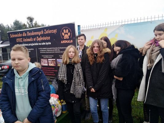  Grafika #3: Wizyta wolontariuszy w lęborskiej noclegowni i schronisku dla zwierząt.
