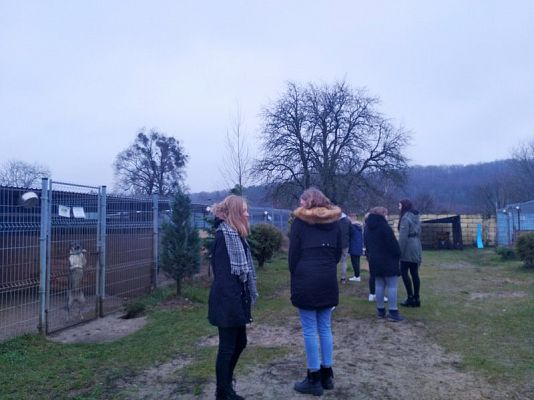  Grafika #9: Wizyta wolontariuszy w lęborskiej noclegowni i schronisku dla zwierząt.