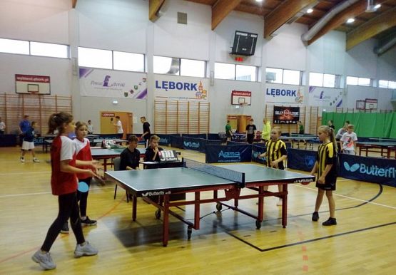  Grafika #0: Powiatowe zawody w tenisie stołowym