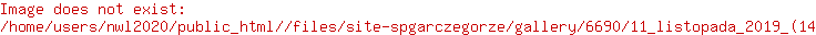 Grafika #17: Apel- 11 LISTOPADA