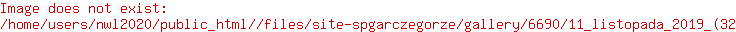Grafika #30: Apel- 11 LISTOPADA