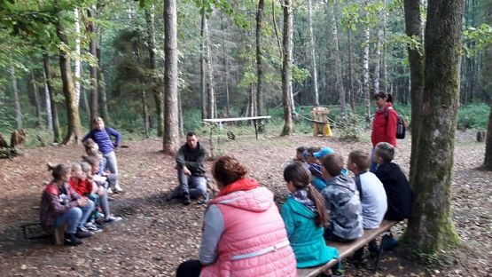  Grafika #3: Pionierka obozowa klas 5-tych