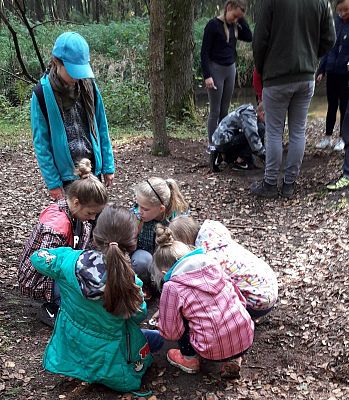  Grafika #8: Pionierka obozowa klas 5-tych