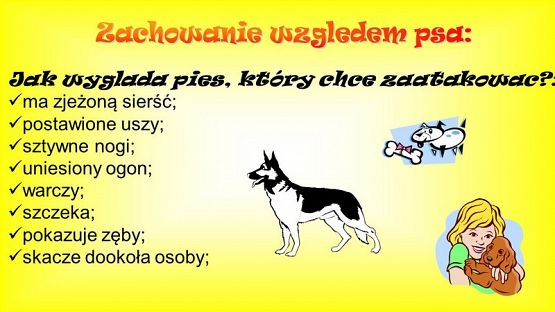  Grafika #9: DOBRE RADY NA WAKACJE!