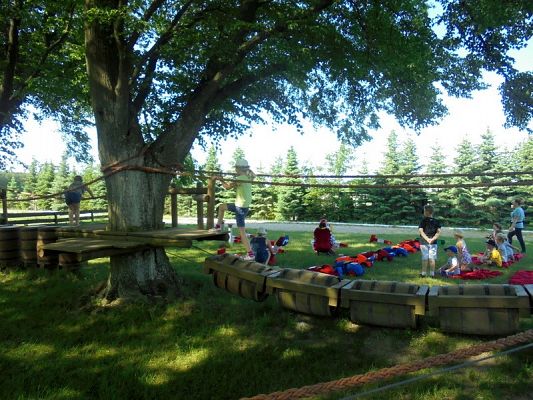  Grafika #10: Psi Patrol w Grąbkowie