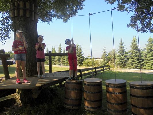  Grafika #5: Psi Patrol w Grąbkowie