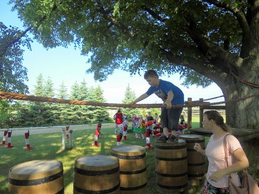  Grafika #51: Psi Patrol w Grąbkowie