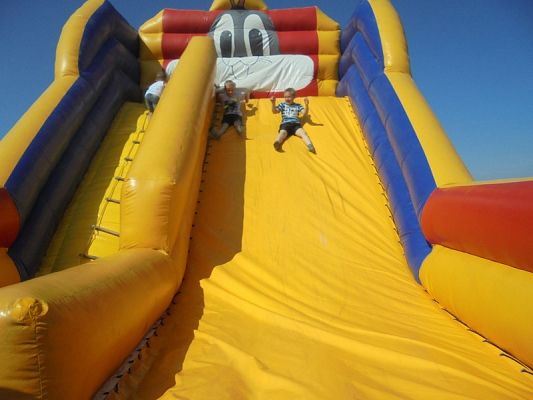  Grafika #14: Psi Patrol w Grąbkowie