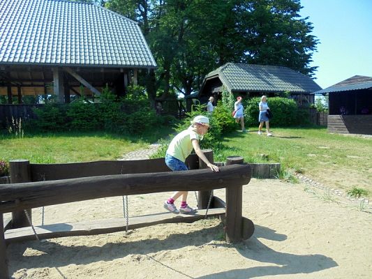  Grafika #59: Psi Patrol w Grąbkowie