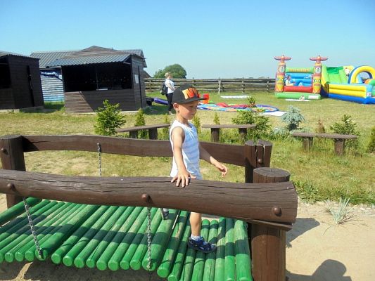  Grafika #52: Psi Patrol w Grąbkowie