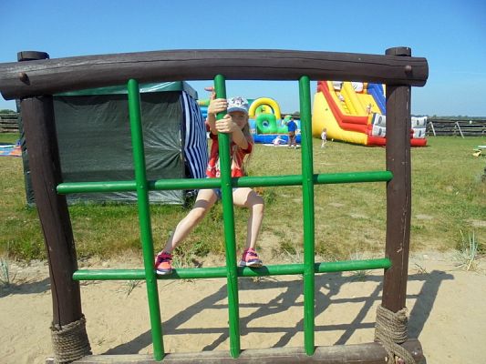  Grafika #45: Psi Patrol w Grąbkowie