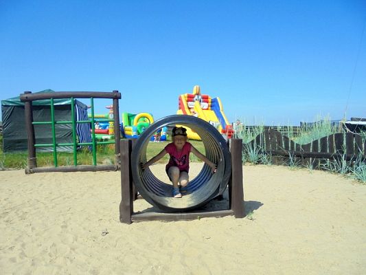  Grafika #24: Psi Patrol w Grąbkowie