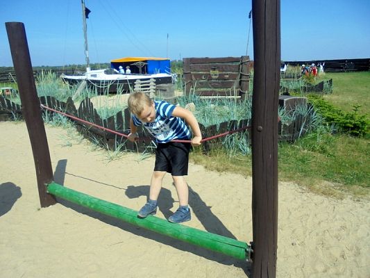  Grafika #42: Psi Patrol w Grąbkowie