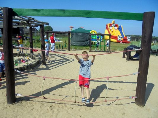  Grafika #46: Psi Patrol w Grąbkowie