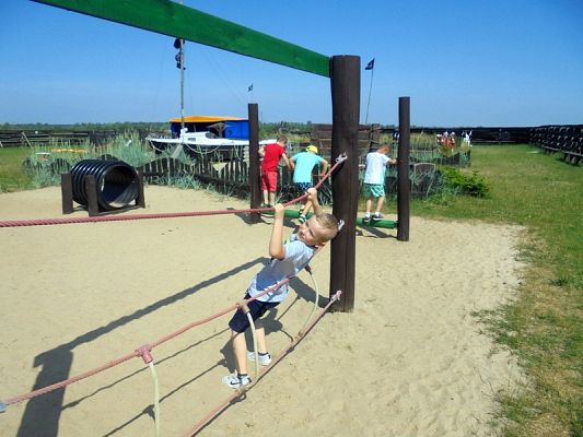  Grafika #35: Psi Patrol w Grąbkowie