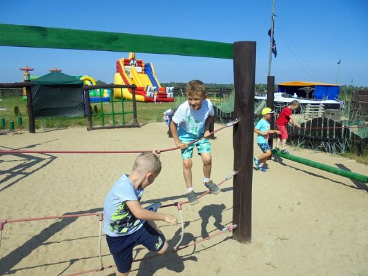  Grafika #41: Psi Patrol w Grąbkowie