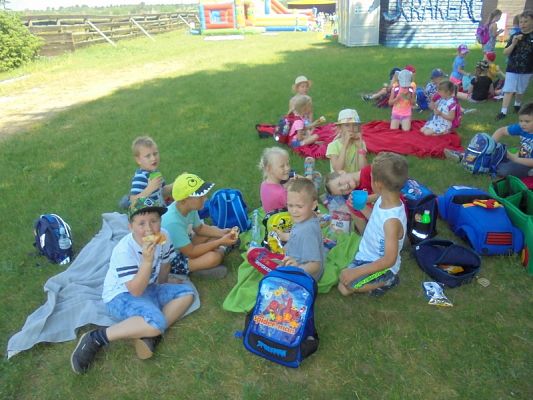  Grafika #50: Psi Patrol w Grąbkowie