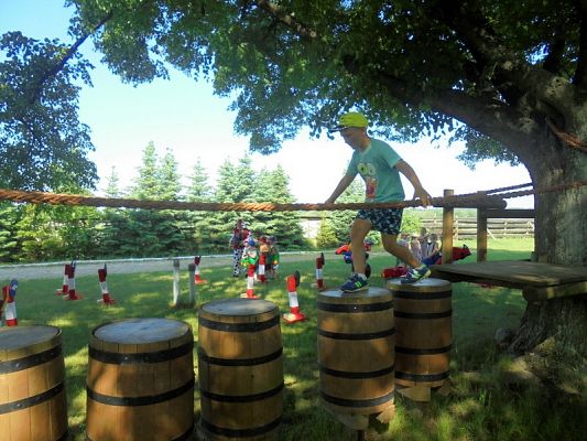  Grafika #47: Psi Patrol w Grąbkowie