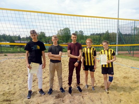  Grafika #4: Plażowa piłka siatkowa