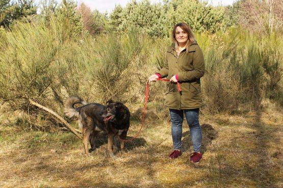  Grafika #1: Wizyta wolontariuszy w OTOZ "Animals"