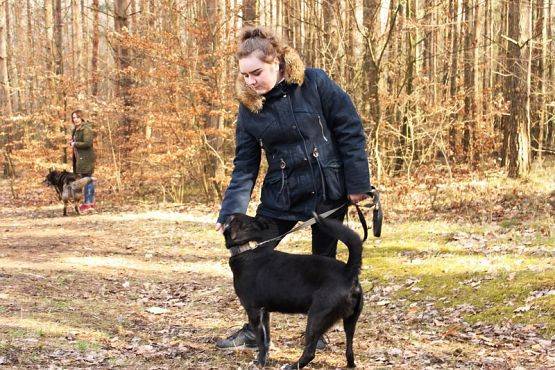  Grafika #10: Wizyta wolontariuszy w OTOZ "Animals"