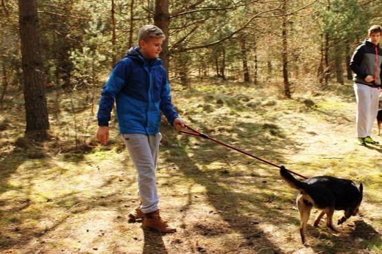  Grafika #15: Wizyta wolontariuszy w OTOZ "Animals"