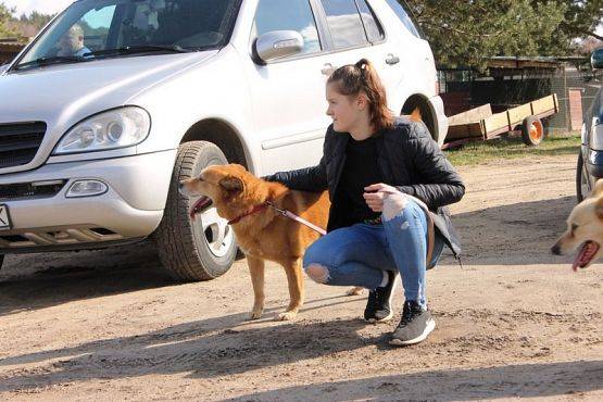  Grafika #16: Wizyta wolontariuszy w OTOZ "Animals"