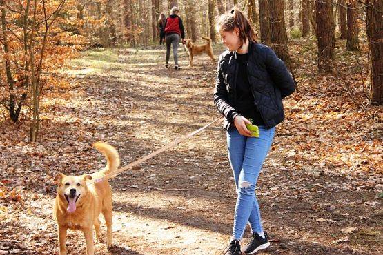  Grafika #2: Wizyta wolontariuszy w OTOZ "Animals"