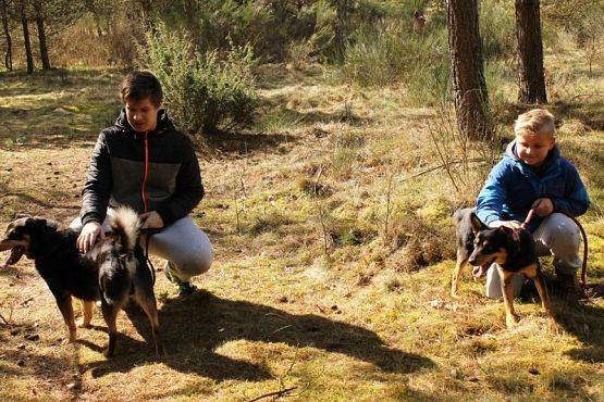  Grafika #7: Wizyta wolontariuszy w OTOZ "Animals"