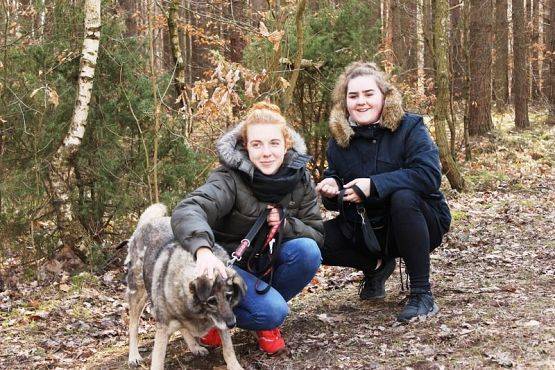  Grafika #9: Wizyta wolontariuszy w OTOZ "Animals"