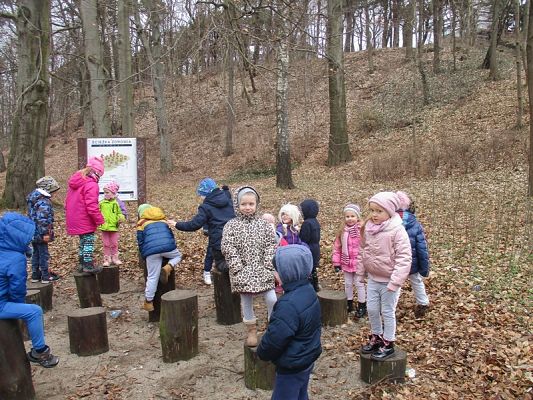  Grafika #8: Starszaki na wycieczce