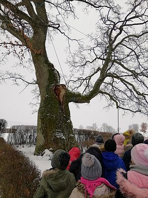  Grafika #12: WYCIECZKA DO BĘDOMINA