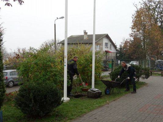  Grafika #72: Apel z okazji Święta Niepodległości