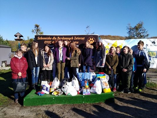  Grafika #0: Wyjazd do schroniska dla zwierząt