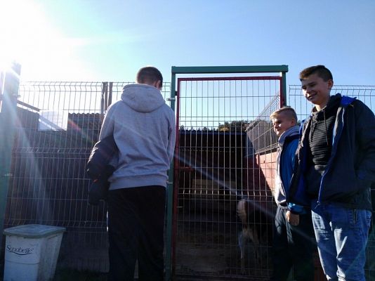  Grafika #1: Wyjazd do schroniska dla zwierząt