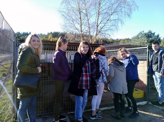  Grafika #6: Wyjazd do schroniska dla zwierząt