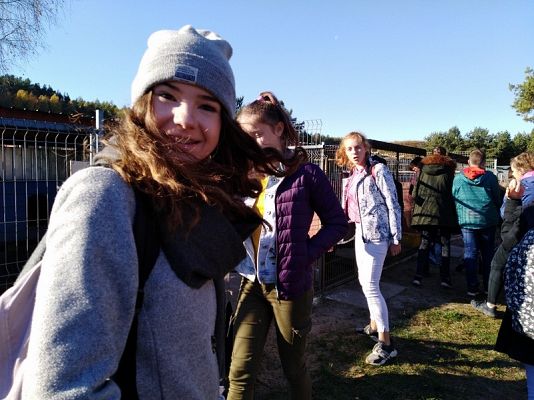  Grafika #3: Wyjazd do schroniska dla zwierząt