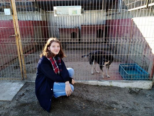  Grafika #8: Wyjazd do schroniska dla zwierząt