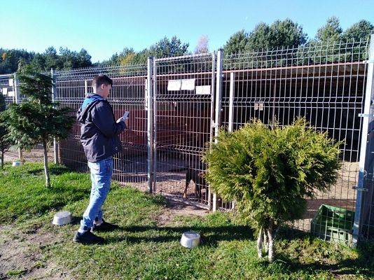  Grafika #10: Wyjazd do schroniska dla zwierząt