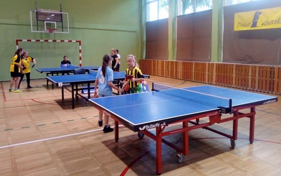  Grafika #4: GMINNE IGRZYSKA SPORTOWE W TENISIE STOŁOWYM