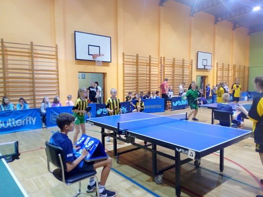  Grafika #10: GMINNE IGRZYSKA SPORTOWE W TENISIE STOŁOWYM