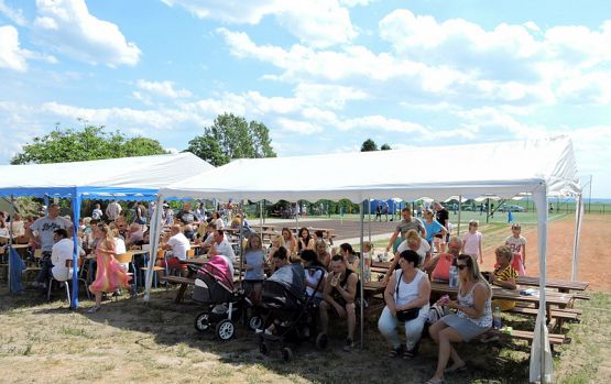  Grafika #15: FESTYN RODZINNY