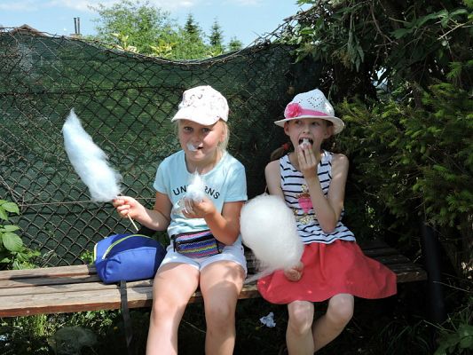  Grafika #43: FESTYN RODZINNY