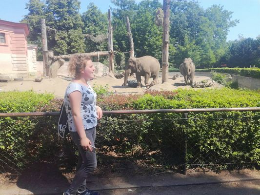  Grafika #9: WYCIECZKA DO WROCŁAWIA